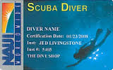Scuba_dive_certification_learn_to_dive.jpg